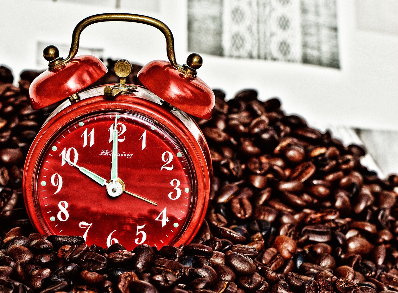 Why Every Home Needs a Burglar Alarm